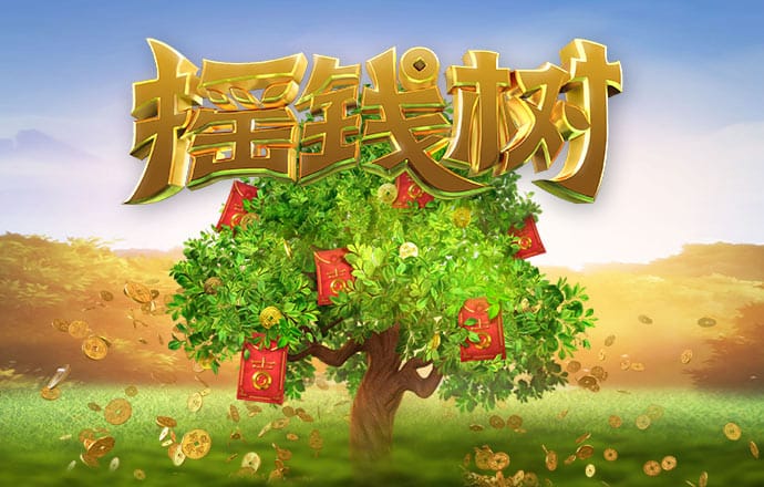 彩虹网官方网站进入sottop